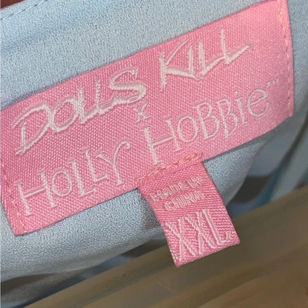 DOLLS KILL x HOLLY HOBBIE Pat A Cake Floral Print Chiffon Skirt - Picture 4 of 5